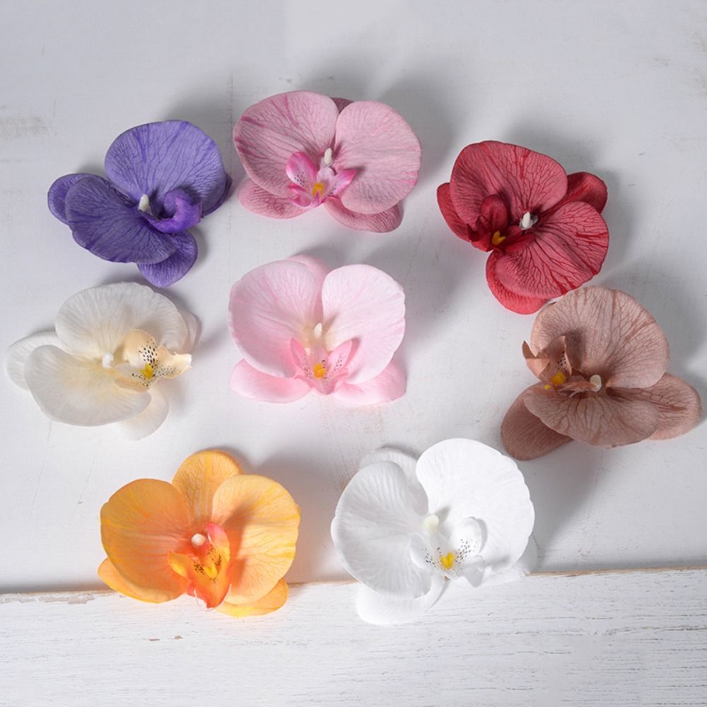 Orchid Phalaenopsis - Kepala Bunga Phalaenopsis Buatan Sendiri, Bunga